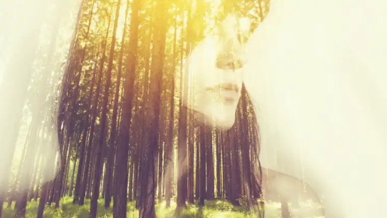 Phobias and Fears